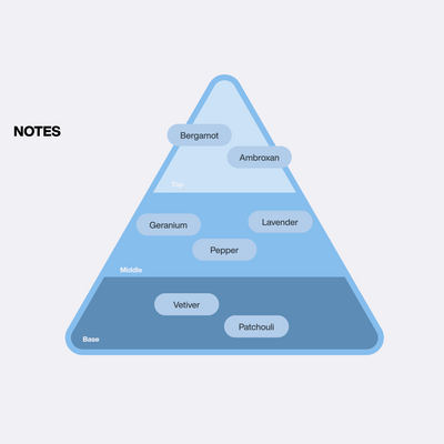 Midnight in Provence