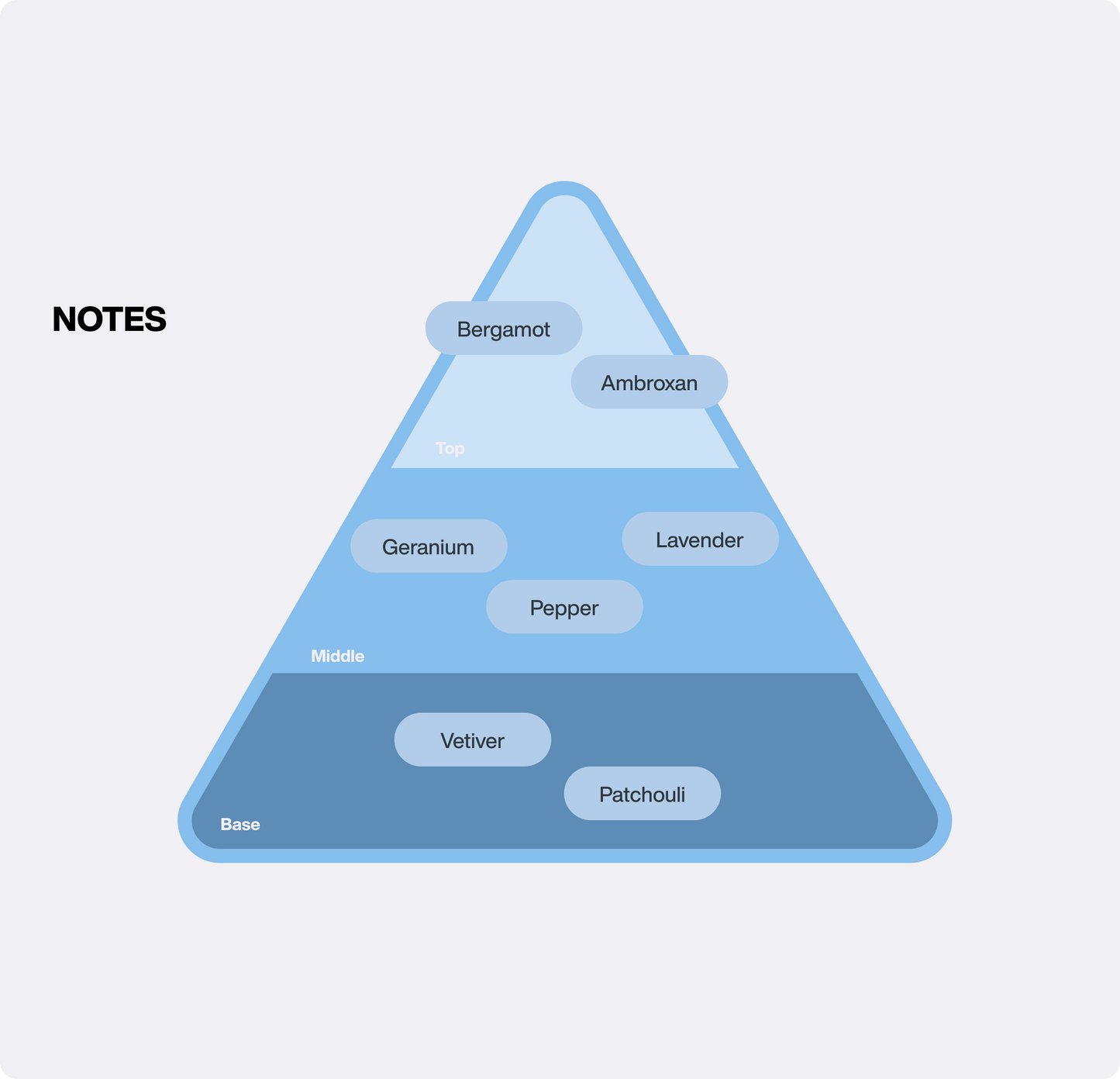 Midnight in Provence